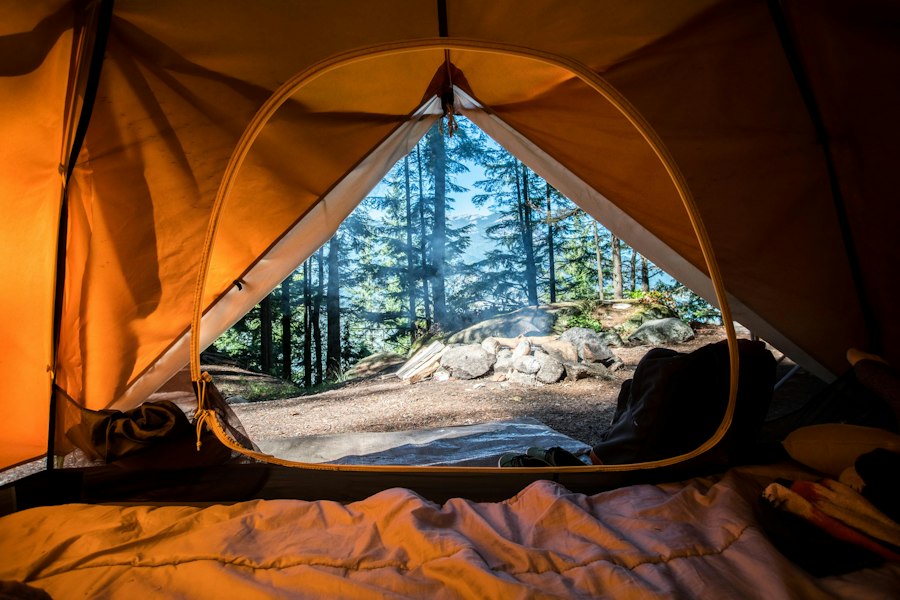 View out of a tent toward pine forest at a campsite